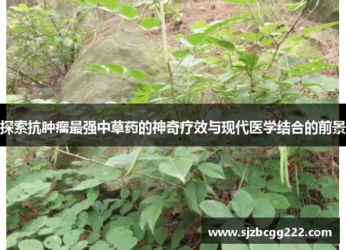 探索抗肿瘤最强中草药的神奇疗效与现代医学结合的前景