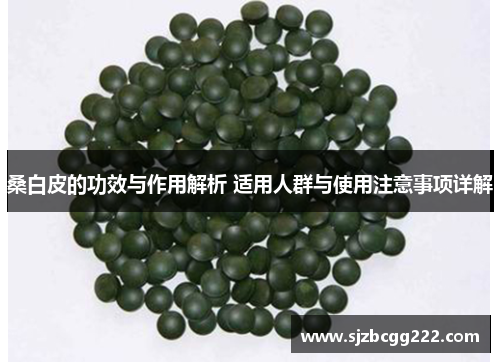 桑白皮的功效与作用解析 适用人群与使用注意事项详解